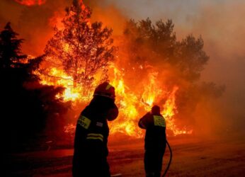 Τραγωδία: 26 παράτυποι μετανάστες βρέθηκαν απανθρακωμένοι στο δάσος της Δαδιάς – Είχαν εισέλθει παράνομα από την Τουρκία!