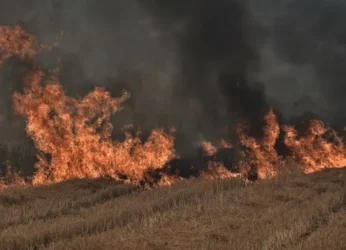 Εμπρησμός στη Χαλκίδα: Η στιγμή που άνδρας βάζει φωτιά! (Βίντεο)