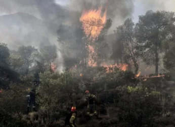 Φωτιά στην Αργολίδα: Εκκένωση της Δάρδιζας με νέο μήνυμα από το 112