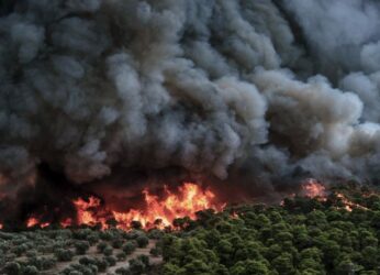 Φωτιά στη Μεσσηνία: Φλόγες σε δάσος στη Μεταξάδα