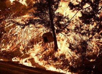 Φωτιά στον Βαρνάβα: Εκκενώνεται και ο Μαραθώνας