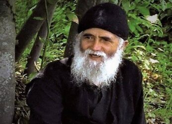 Η Δεντροκκλησιά του Αγίου Παϊσίου: Ένα θαύμα κρυμμένο σε μια βελανιδιά