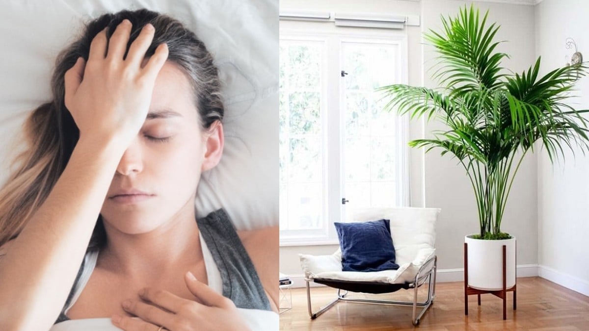 Αντικείμενα που φέρνουν κακή τύχη μέσα στο σπίτι σύμφωνα με το Feng Shui