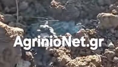 Το σημείο ταφής των ζώων στο Μεσολόγγι όπου το έδαφος έχει ποτίσει με αίμα και επικρατεί έντονη δυσοσμία