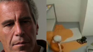 Τζέφρεϊ Επστάιν βίντεο αυτοκτονίας κελί φυλακής fake news