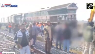 Στιγμιότυπο από τη σύγκρουση τρένου με κοπάδι ελεφάντων στην Ινδία στο κρατίδιο Ασάμ