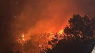 Ισχυρές δυνάμεις της πυροσβεστικής επιχειρούν στη μεγάλη φωτιά στην Κίσσαμο Χανίων στο χωριό Κεφάλι