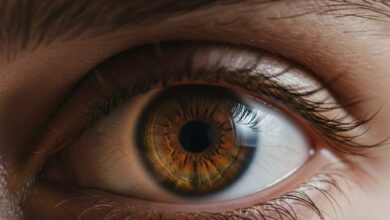 Ένα ανθρώπινο μάτι που κοιτάζει με ένταση και προσήλωση, συμβολίζοντας την έννοια του ασκαρδαμυκτί