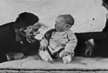 Ο ψυχολόγος Τζον Γουότσον και η Ρόζαλι Ρέινερ με το βρέφος «Μικρός Άλμπερτ» κατά τη διάρκεια του πειράματος