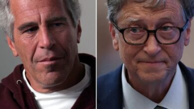 Μπιλ Γκέιτς και Τζέφρι Έπσταϊν σε κοινή συνάντηση - αρχείο αποκαλύψεων