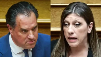 Ο Άδωνις Γεωργιάδης έξω από τα δικαστήρια της Ευελπίδων μετά τη μήνυση στη Ζωή Κωνσταντοπούλου