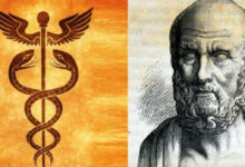 Βότανα και τροφές της Ιπποκράτειας ιατρικής για την ενίσχυση του οργανισμού