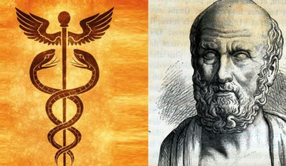 Βότανα και τροφές της Ιπποκράτειας ιατρικής για την ενίσχυση του οργανισμού