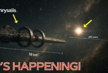 Καλλιτεχνική απεικόνιση του Chrysalis, ενός κολοσσιαίου περιστρεφόμενου διαστημοπλοίου που μοιάζει με πόλη στο κενό του διαστήματος