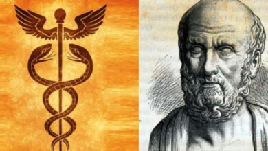 Βότανα και τροφές της Ιπποκράτειας ιατρικής για την ενίσχυση του οργανισμού