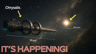 Καλλιτεχνική απεικόνιση του Chrysalis, ενός κολοσσιαίου περιστρεφόμενου διαστημοπλοίου που μοιάζει με πόλη στο κενό του διαστήματος