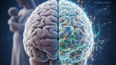 Απεικόνιση εγκεφάλου γυναίκας και οι νευρωνικές αλλαγές στον εγκέφαλο κατά την εγκυμοσύνη