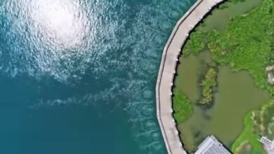 Η εντυπωσιακή υποθαλάσσια πηγή της Δίνης (Ανάβαλος) στο Κιβέρι Αργολίδας, όπου τεράστιες ποσότητες γλυκού νερού χύνονται στη θάλασσα