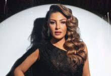 Η Έλενα Παπαρίζου στη σκηνή - Αναβολή εμφάνισης λόγω αδιαθεσίας