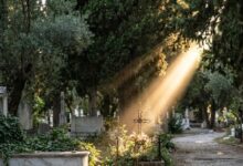 Μια ακτίνα φωτός που διαπερνά τα δέντρα σε ένα ήσυχο κοιμητήριο, συμβολίζοντας την παρουσία της ψυχής.