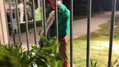 Ο επιδειξίας του Άλσους της Ακαδημίας Πλάτωνος όπου καταγγέλθηκε η δράση του