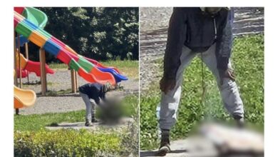 ο πάρκο Crociata στη Σαρζάνα της Ιταλίας όπου σημειώθηκε το περιστατικό με το ψήσιμο γάτας