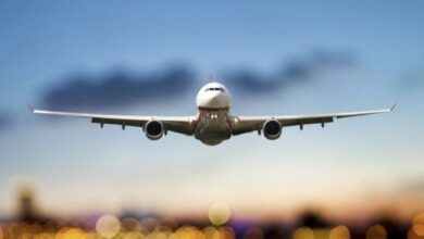 Πλήρωμα αεροπλάνου και επιβάτες σε κατάσταση τοκετού στον αέρα