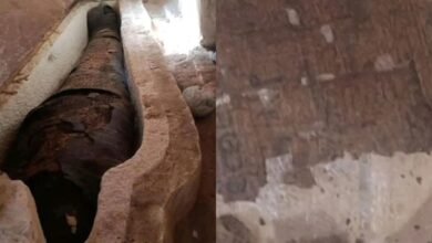 Σπάνιος πάπυρος με αποσπάσματα από την Ιλιάδα του Ομήρου που βρέθηκε σε μούμια στην Οξύρρυγχο της Αιγύπτου