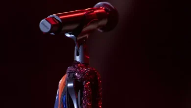 Ο Νίκος Βέρτης τραγουδάει σε συναυλία με πλήθος κόσμου να τον αποθεώνει