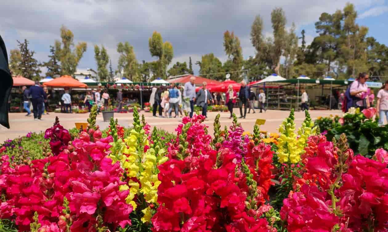 Εργαζόμενοι και οικογένειες απολαμβάνουν την αργία Πρωτομαγιάς 2026 στην εξοχή