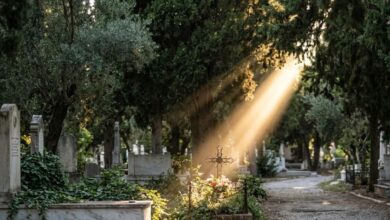 Μια ακτίνα φωτός που διαπερνά τα δέντρα σε ένα ήσυχο κοιμητήριο, συμβολίζοντας την παρουσία της ψυχής.