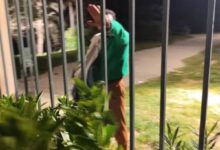 Ο επιδειξίας του Άλσους της Ακαδημίας Πλάτωνος όπου καταγγέλθηκε η δράση του