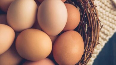 Διάφοροι τρόποι μαγειρέματος αυγών σε πιάτο (βραστό, τηγανητό) για σύγκριση θερμίδων