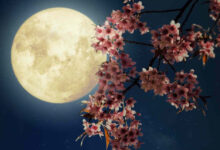 Μια εντυπωσιακή πανσέληνος στον νυχτερινό ουρανό που συμβολίζει τις ερωτικές εξελίξεις για τα ζώδια