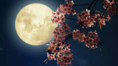 Μια εντυπωσιακή πανσέληνος στον νυχτερινό ουρανό που συμβολίζει τις ερωτικές εξελίξεις για τα ζώδια