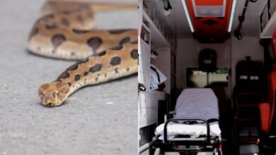 Ασθενοφόρο έξω από το νοσοκομείο όπου νοσηλεύεται η γυναίκα μετά από δάγκωμα φιδιού στο Αγρίνιο