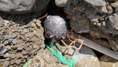 Ουκρανική ναυτική νάρκη στα βράχια της Ελούντας στην Κρήτη