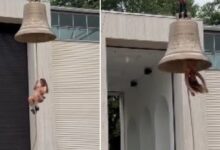 Η καλλιτέχνης Φλορεντίνα Χόλζινγκερ κρεμασμένη ανάποδα από καμπάνα στην Μπιενάλε Βενετίας
