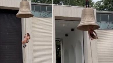 Η καλλιτέχνης Φλορεντίνα Χόλζινγκερ κρεμασμένη ανάποδα από καμπάνα στην Μπιενάλε Βενετίας