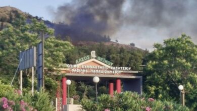 Επέμβαση για τη φωτιά στο Άλσος Βεΐκου